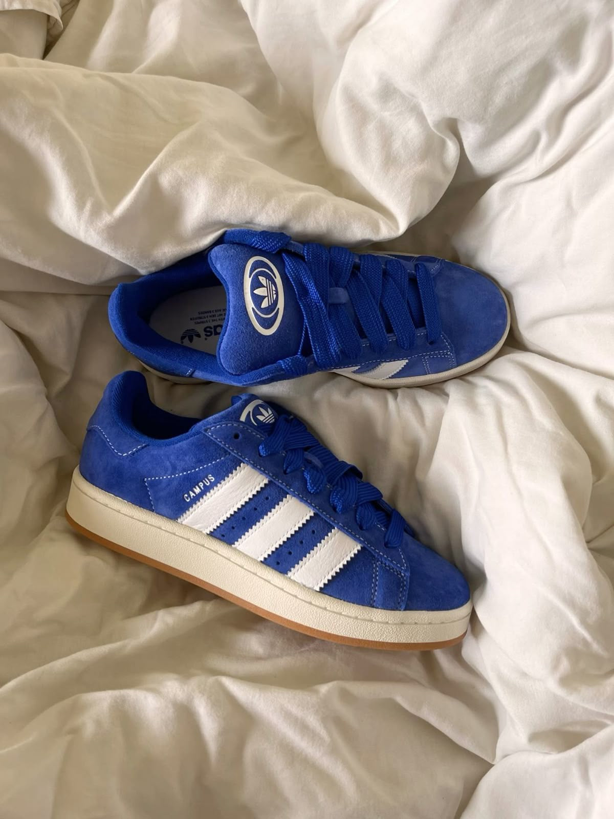 Adidas campus azul Y blanco