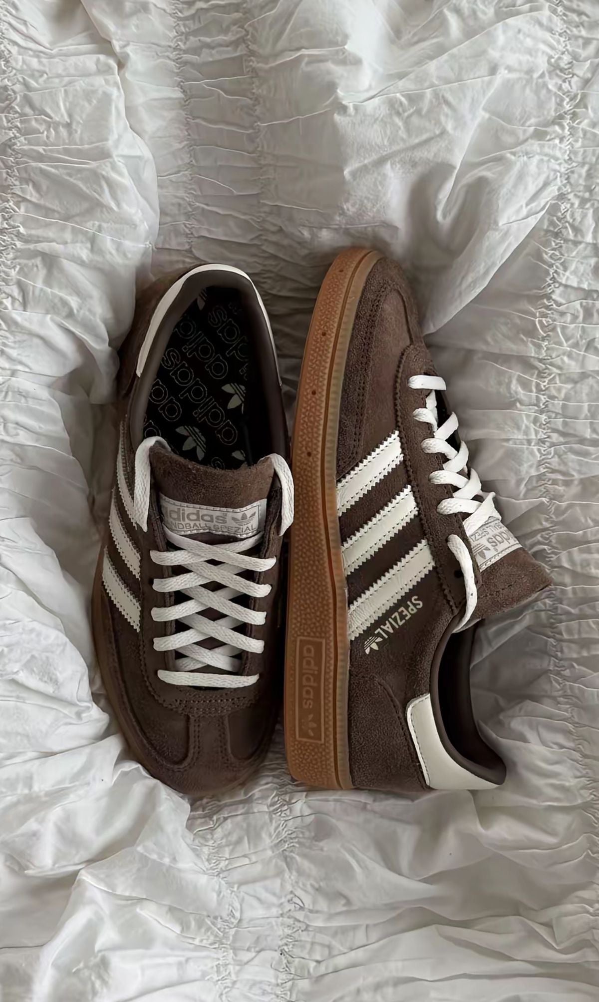 Adidas Spezial Castanho🤎